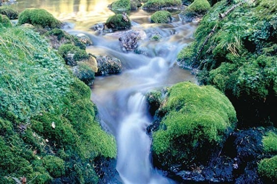 Gasteiner Thermalwasser - Gasteinertal