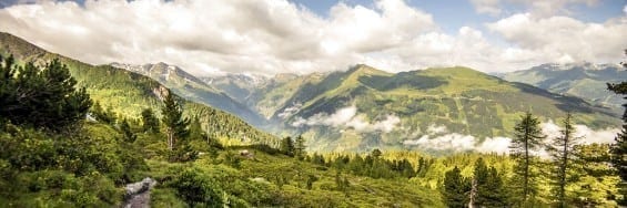 Sommerurlaub - Gasteinertal - Bad Hofgastein